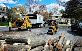 How Our Tree Care Process Works  in  Hugoton, KS