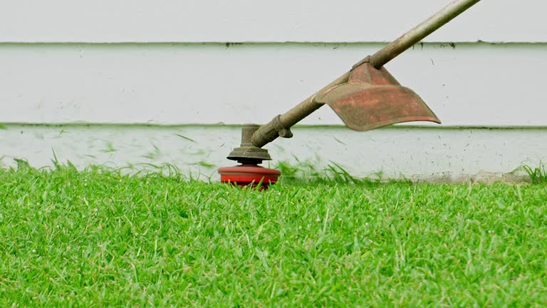 Organic Lawn Care Solutions in Hugoton, KS